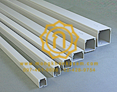 Wire Way : รางเก็บสายไฟ แบบทึบ (PRI Type WW) **มีสีขาวและเทา